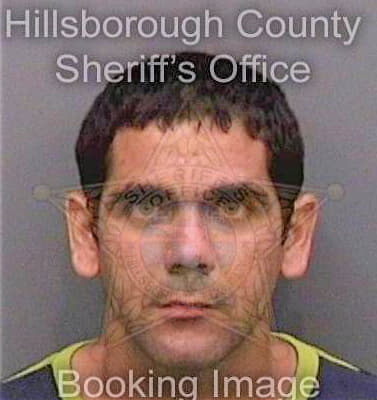 Martinezcepero Michel - Hillsborough County, FL 