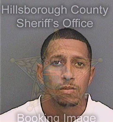 Mcdonald Teno - Hillsborough County, FL 