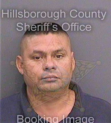 Cordobapastrana William - Hillsborough County, FL 