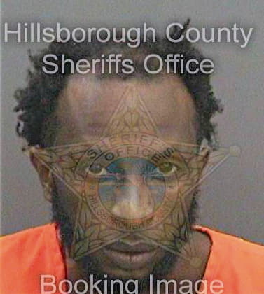 Singletary Omar - Hillsborough County, FL 