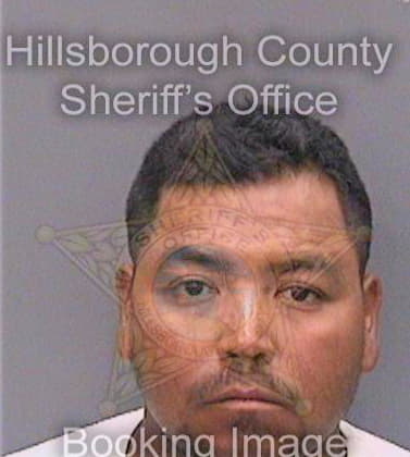 Bonillamejia Juan - Hillsborough County, FL 
