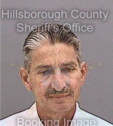 Hernandez Miguel - Hillsborough County, FL 
