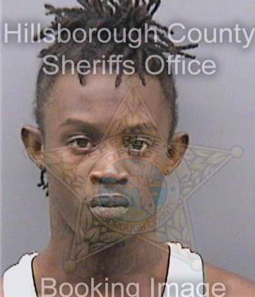 Thomas Brionne - Hillsborough County, FL 