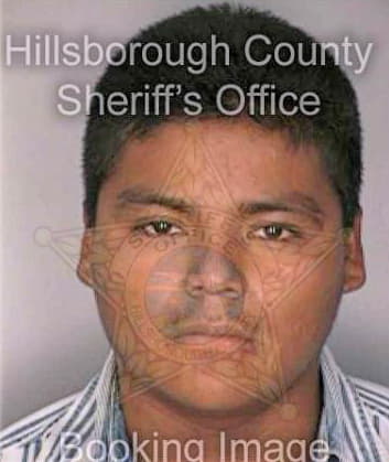 Lopez Gonsalo - Hillsborough County, FL 