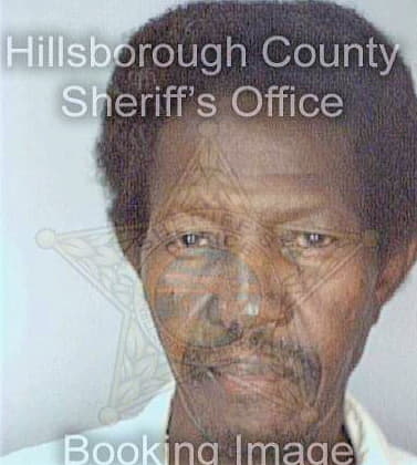 Johnson George - Hillsborough County, FL 