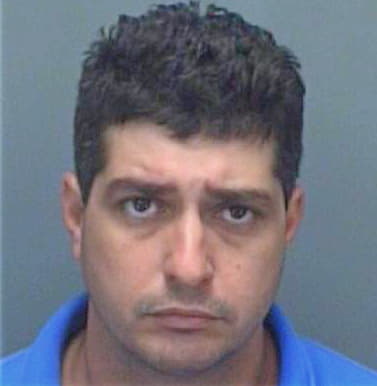 Llera Enrique - Pinellas County, FL 