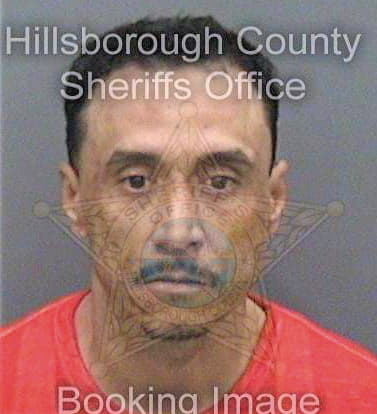 Brito Paul - Hillsborough County, FL 