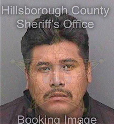 Ramirezroque Celestino - Hillsborough County, FL 