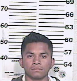 Hernandez Cesar - Hidalgo County, TX 