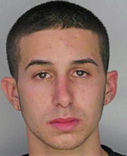 Boerner Bradley - Hillsborough County, FL 