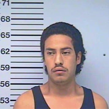 Amador Trejo - Desoto County, MS 