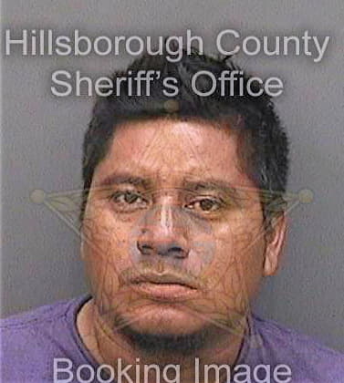 Ordonezortiz Antonio - Hillsborough County, FL 