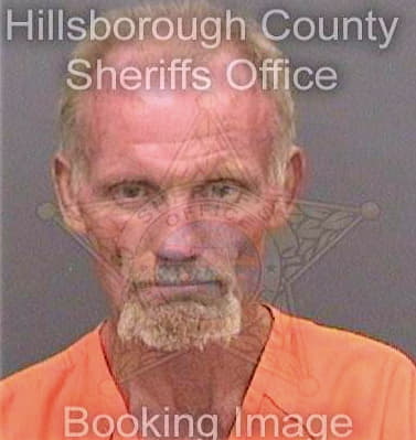 Schook Todd - Hillsborough County, FL 