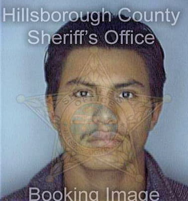 Ramirez Johnny - Hillsborough County, FL 