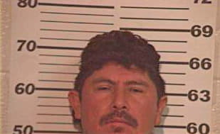 Hernandez Jose - Hidalgo County, TX 