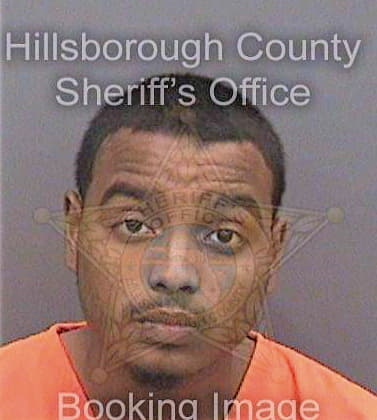 Smith Nicholas - Hillsborough County, FL 