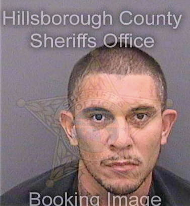 Lopez Francisco - Hillsborough County, FL 