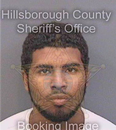Mejia Olivert - Hillsborough County, FL 