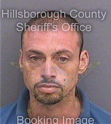 Cazaz Alexander - Hillsborough County, FL 