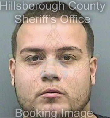 Deleon Angelo - Hillsborough County, FL 