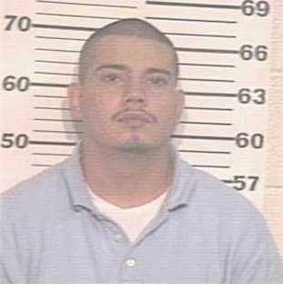 Hernandez David - Hidalgo County, TX 