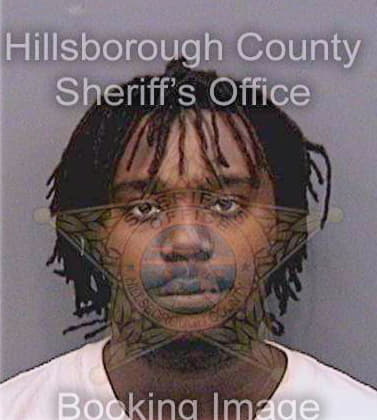 Nelson Dashawn - Hillsborough County, FL 