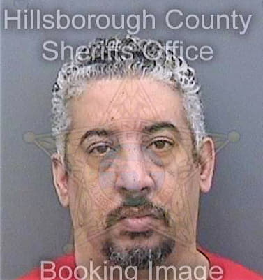 Garcia Esteban - Hillsborough County, FL 