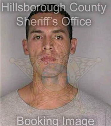 Masso Nestor - Hillsborough County, FL 