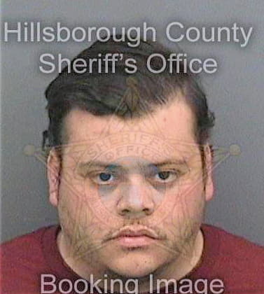Mendoza Lucas - Hillsborough County, FL 