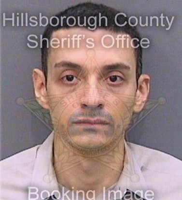 Ramirez Alejandro - Hillsborough County, FL 