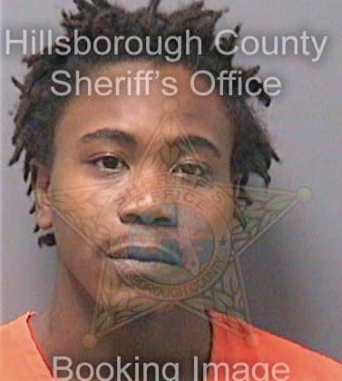 Blakely David - Hillsborough County, FL 