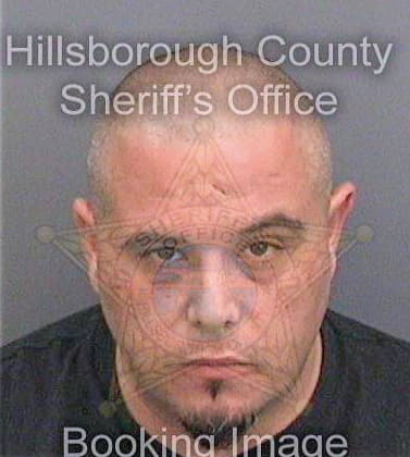 Lugo David - Hillsborough County, FL 