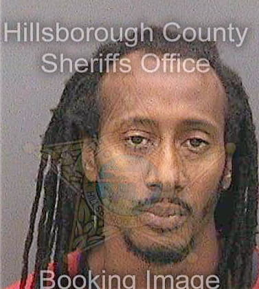 Gooden Dwight - Hillsborough County, FL 