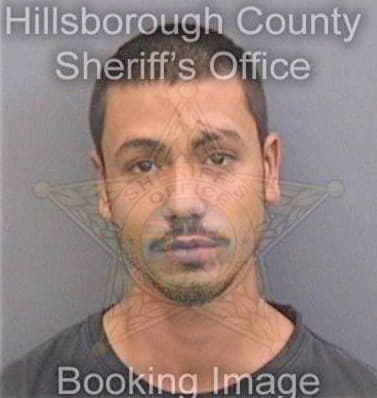 Feliciano Luis - Hillsborough County, FL 