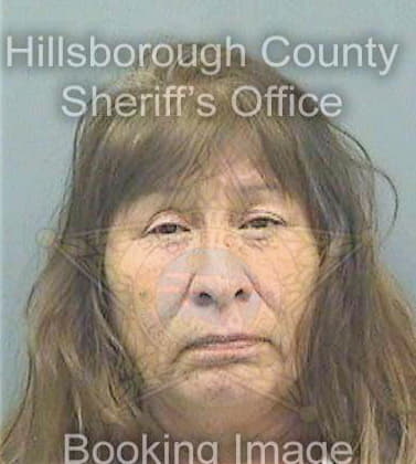 Medicinebear Melody - Hillsborough County, FL 
