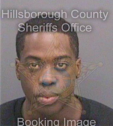 Lewis Andrea - Hillsborough County, FL 