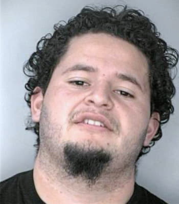 Meza David - Hillsborough County, FL 