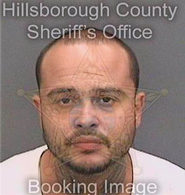 Boudier Eladio - Hillsborough County, FL 