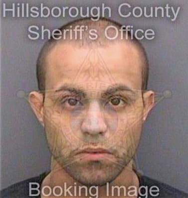 Gonzaleznunez Jesse - Hillsborough County, FL 