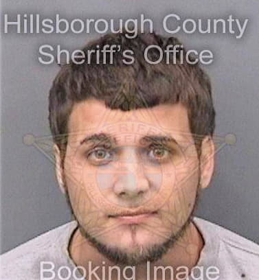 Dixon David - Hillsborough County, FL 