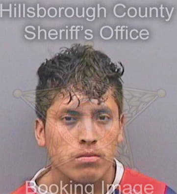 Garcia Miguel - Hillsborough County, FL 