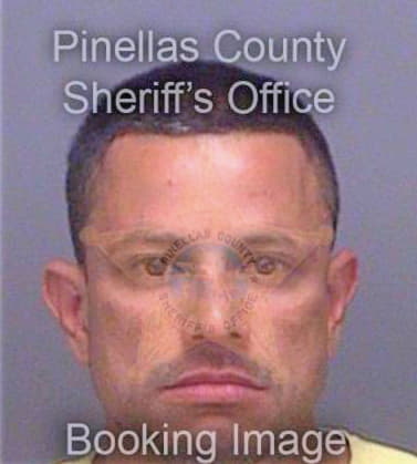 Groen Donald - Pinellas County, FL 