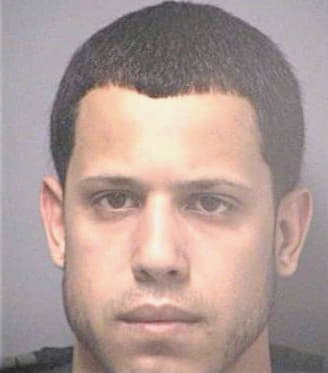 Torres Efrain - Hillsborough County, FL 