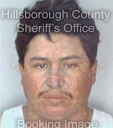 Cuellar Fernando - Hillsborough County, FL 