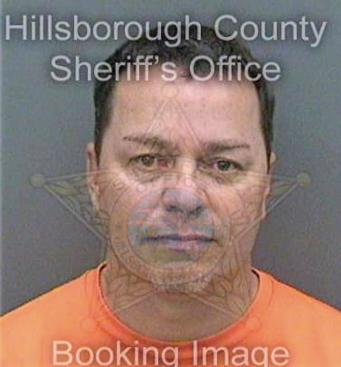 Strickland Michael - Hillsborough County, FL 