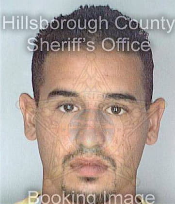 Martinez David - Hillsborough County, FL 