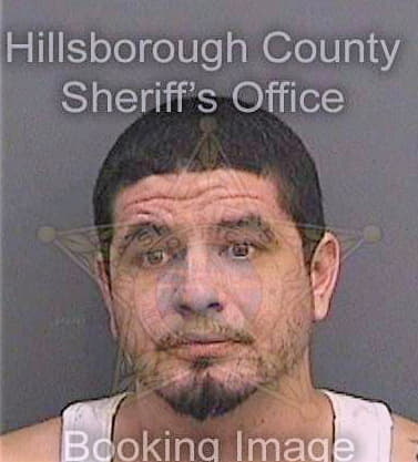 Paez Michael - Hillsborough County, FL 