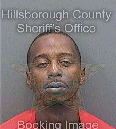 Johnson Brent - Hillsborough County, FL 