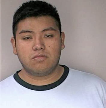 Mezaperez Domingo - Hillsborough County, FL 