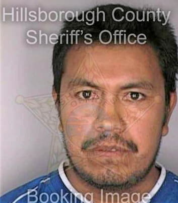 Garcia Alejandro - Hillsborough County, FL 